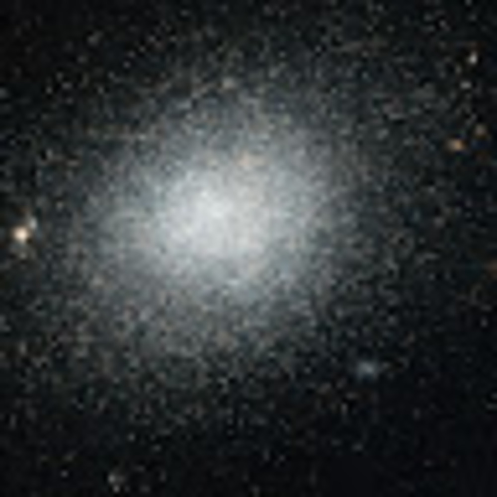 Meet your Posher, Roxan